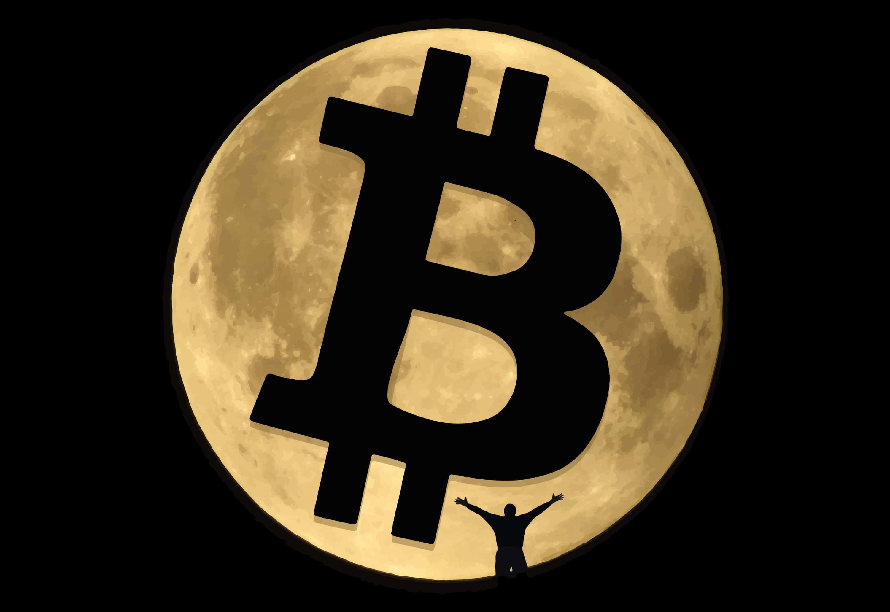 CryptoCurrency Facts