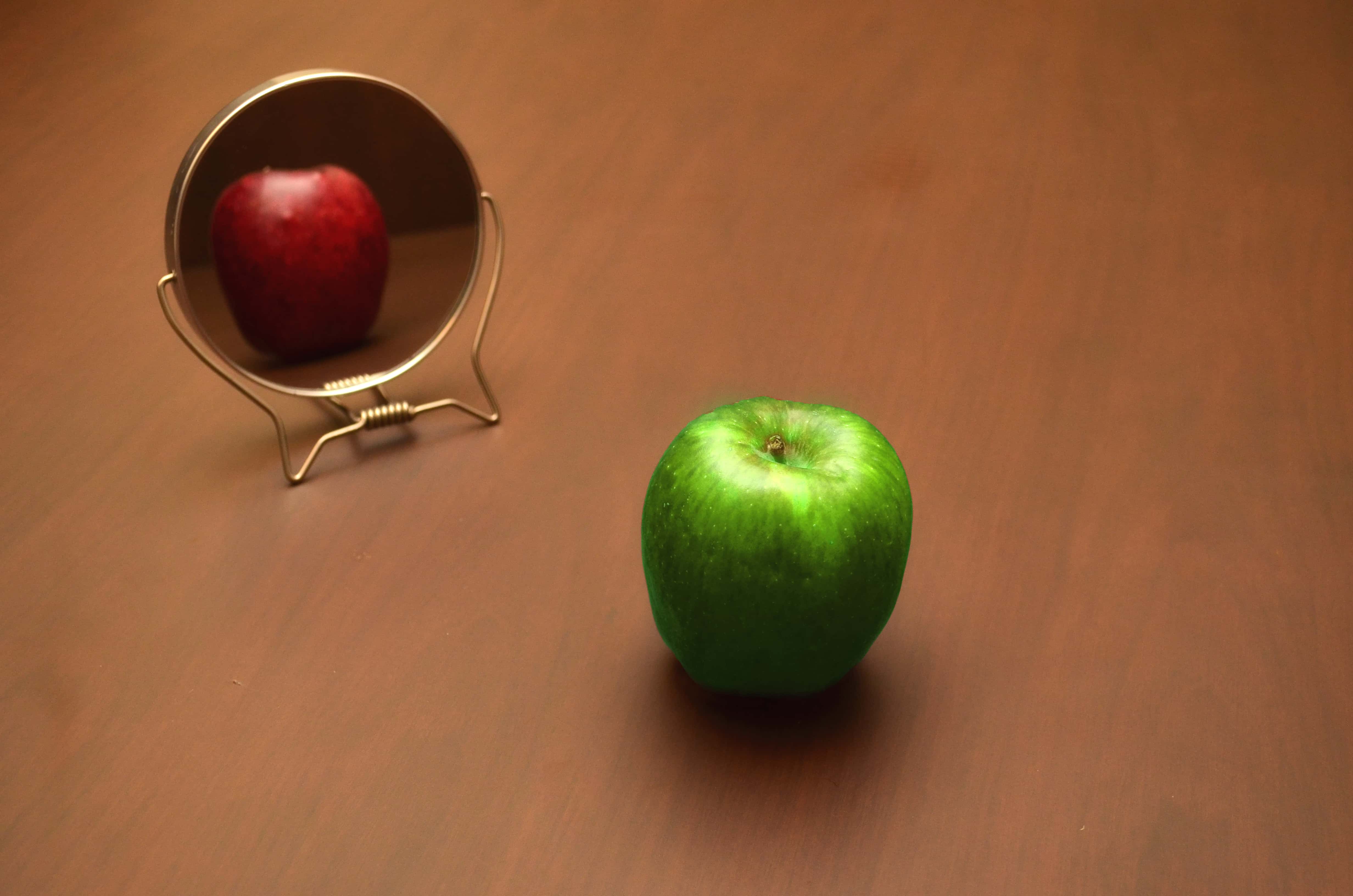 Conspiracy Theories facts