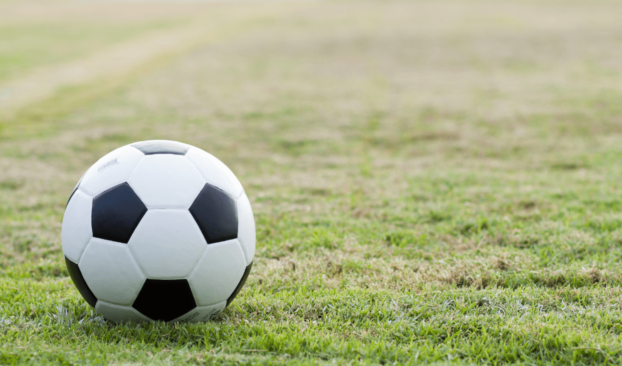 Conor McGregor facts