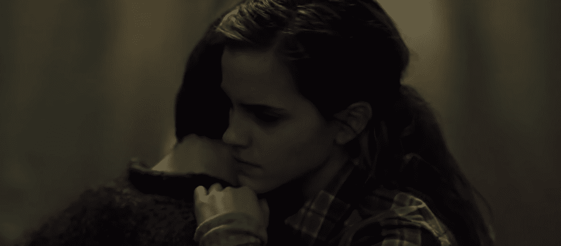 Harry Potter And The Deathly Hallows Facts