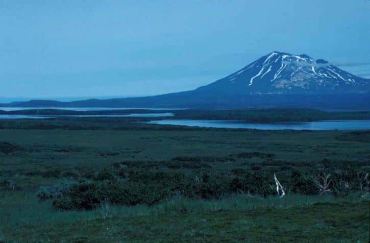 Unusual Deaths Facts