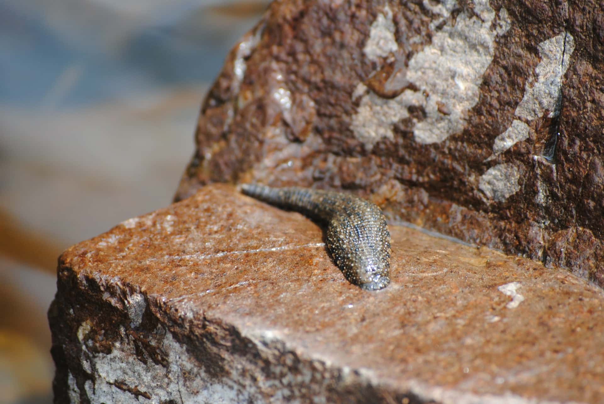 Medical Practices facts