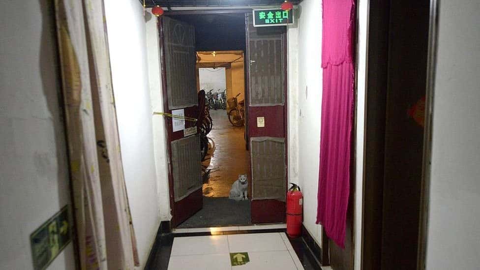 Creepy Things Found in People’s Basements Facts