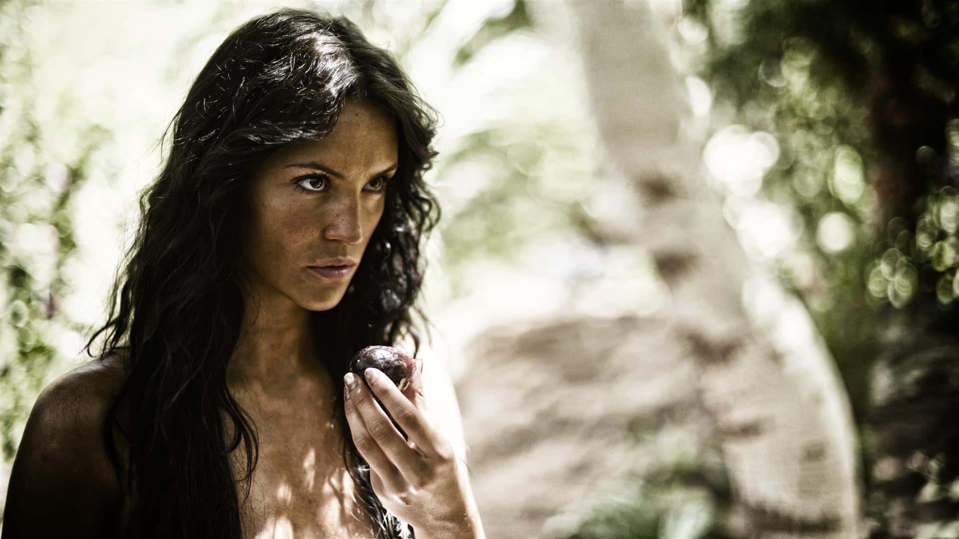 Pieces of Lost History facts