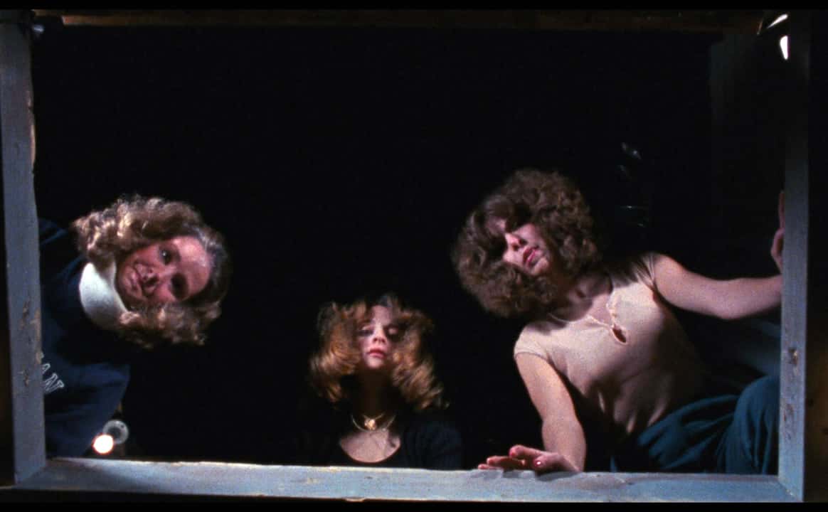 The Halloween Film Franchise facts