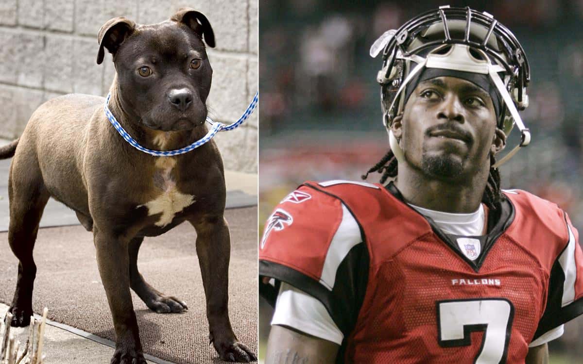 Worst Investments in History Facts