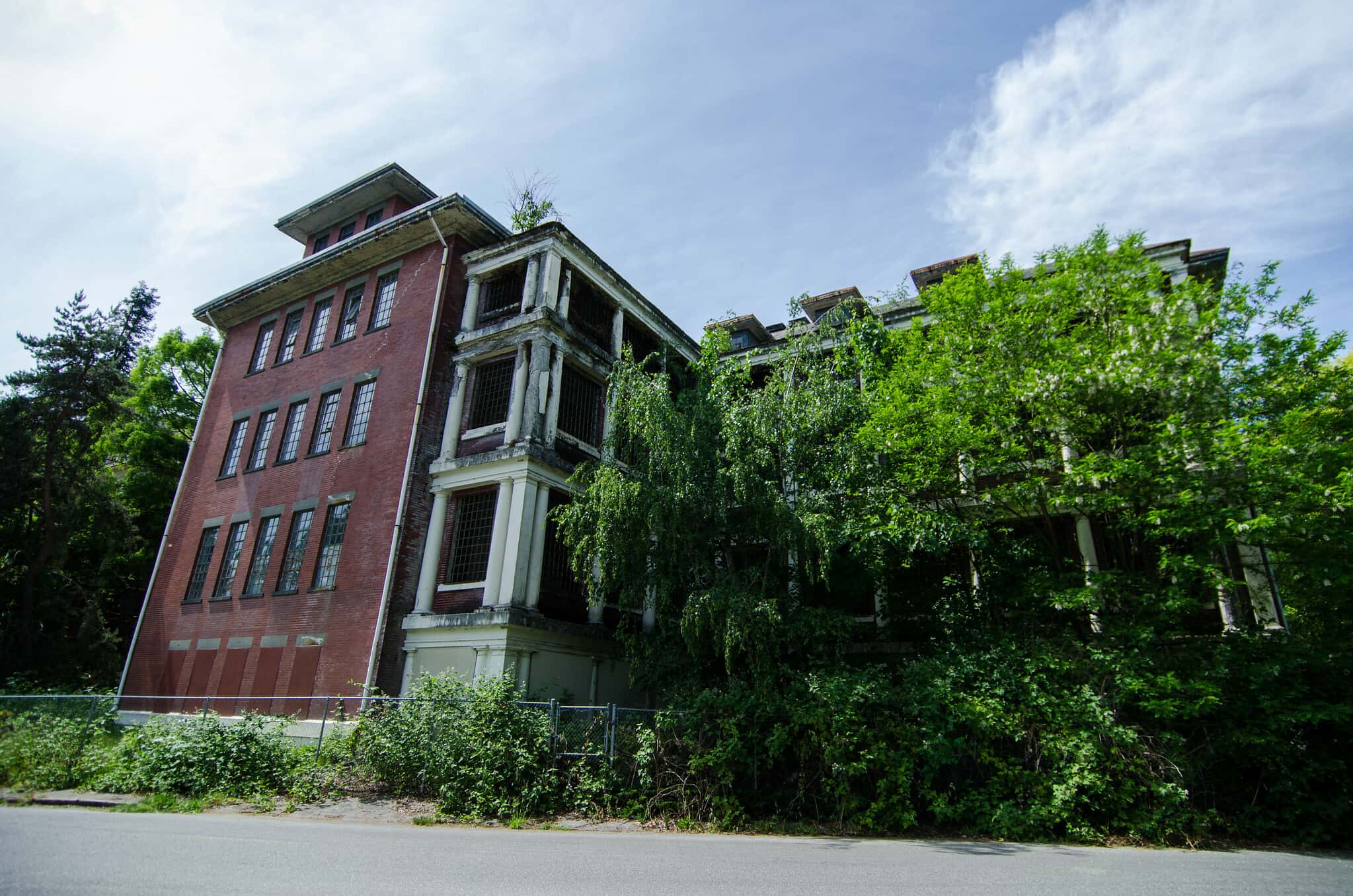 Insane Asylums Facts