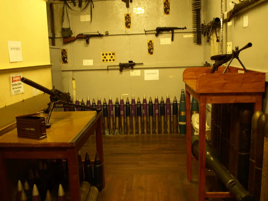 Creepy Things in Basements facts