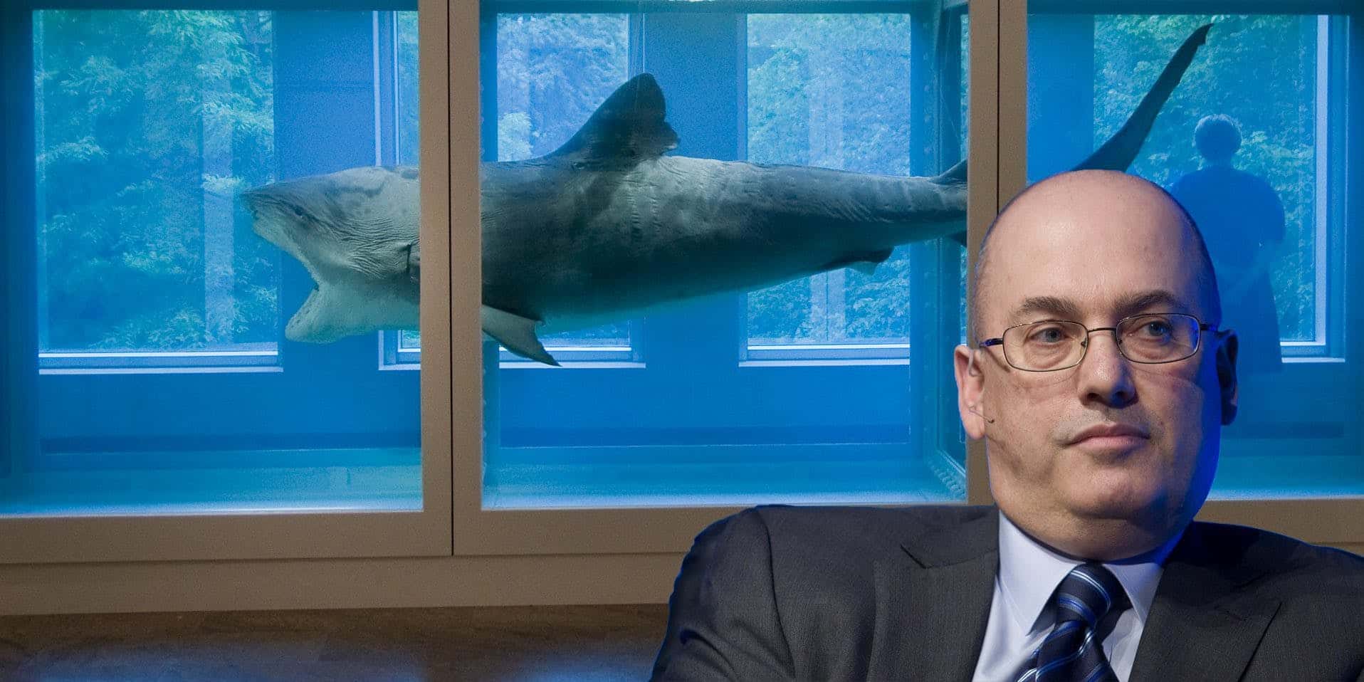 Toys Of The Rich And Famous Facts