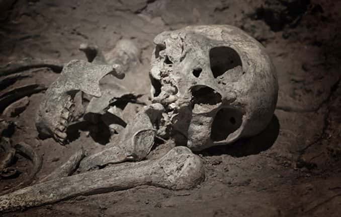 Creepy Things Found in People’s Basements Facts