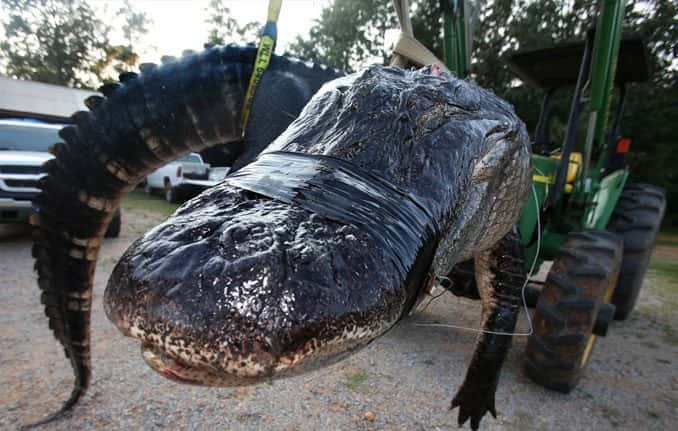 Creepy Things Found in People’s Basements Facts