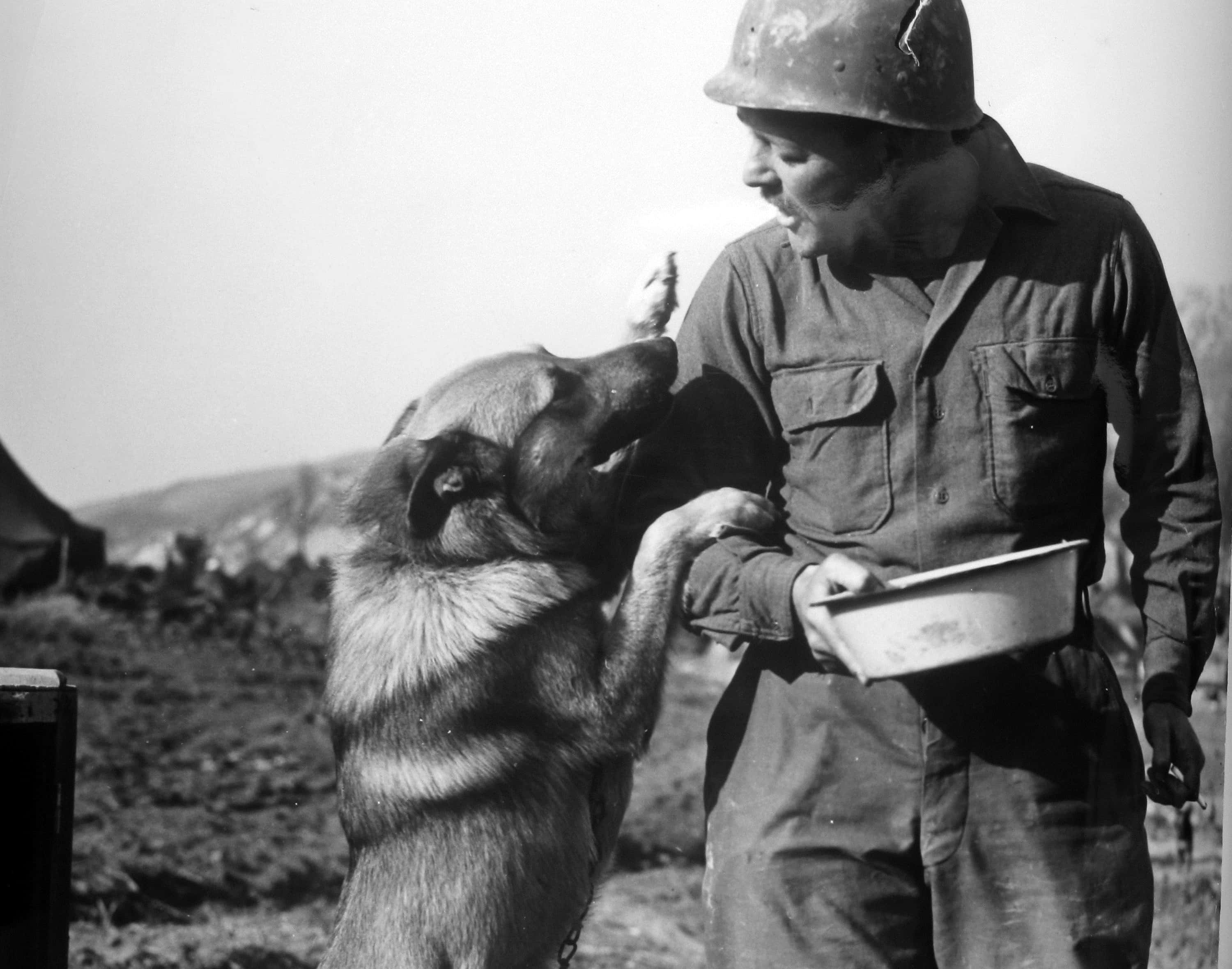 Strangest Battles in History Facts