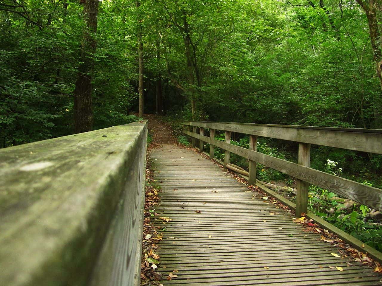 Haunted Places Facts