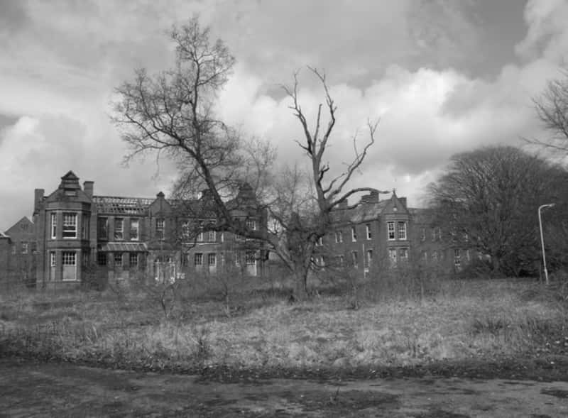 Insane Asylums Facts