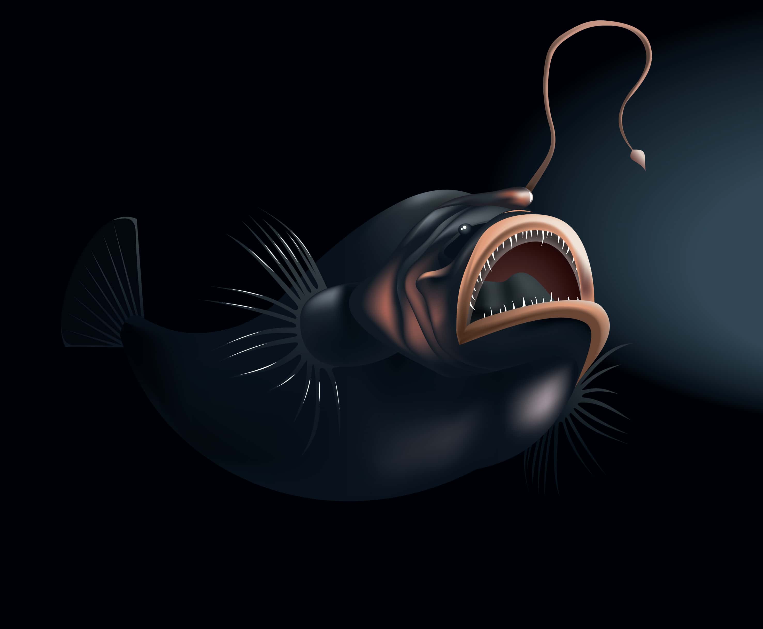 Obscure Animals Facts