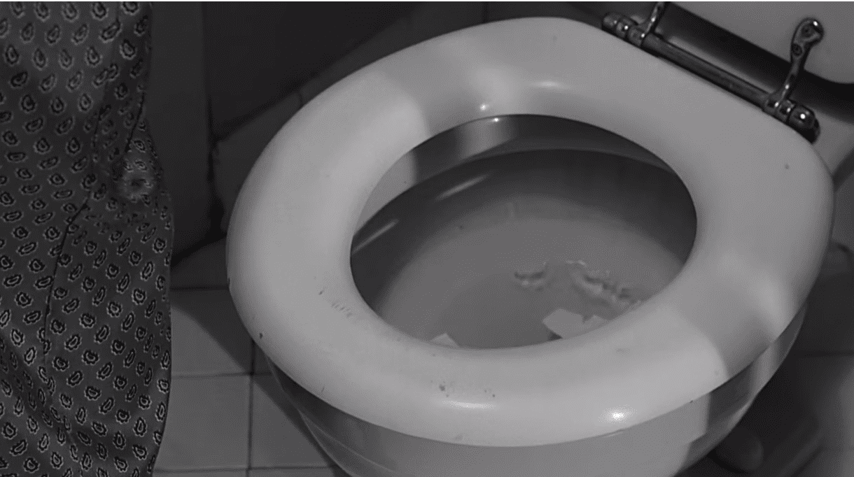 Acclaimed Movies facts