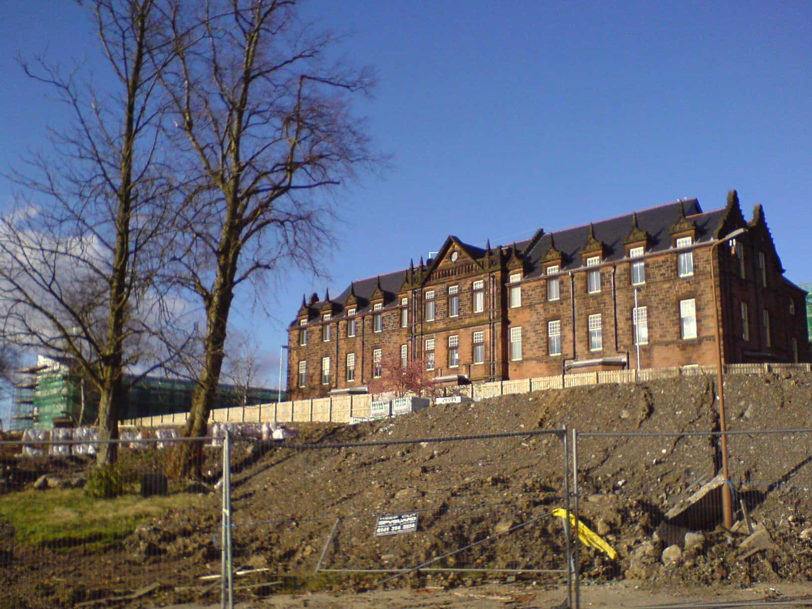 Insane Asylums Facts