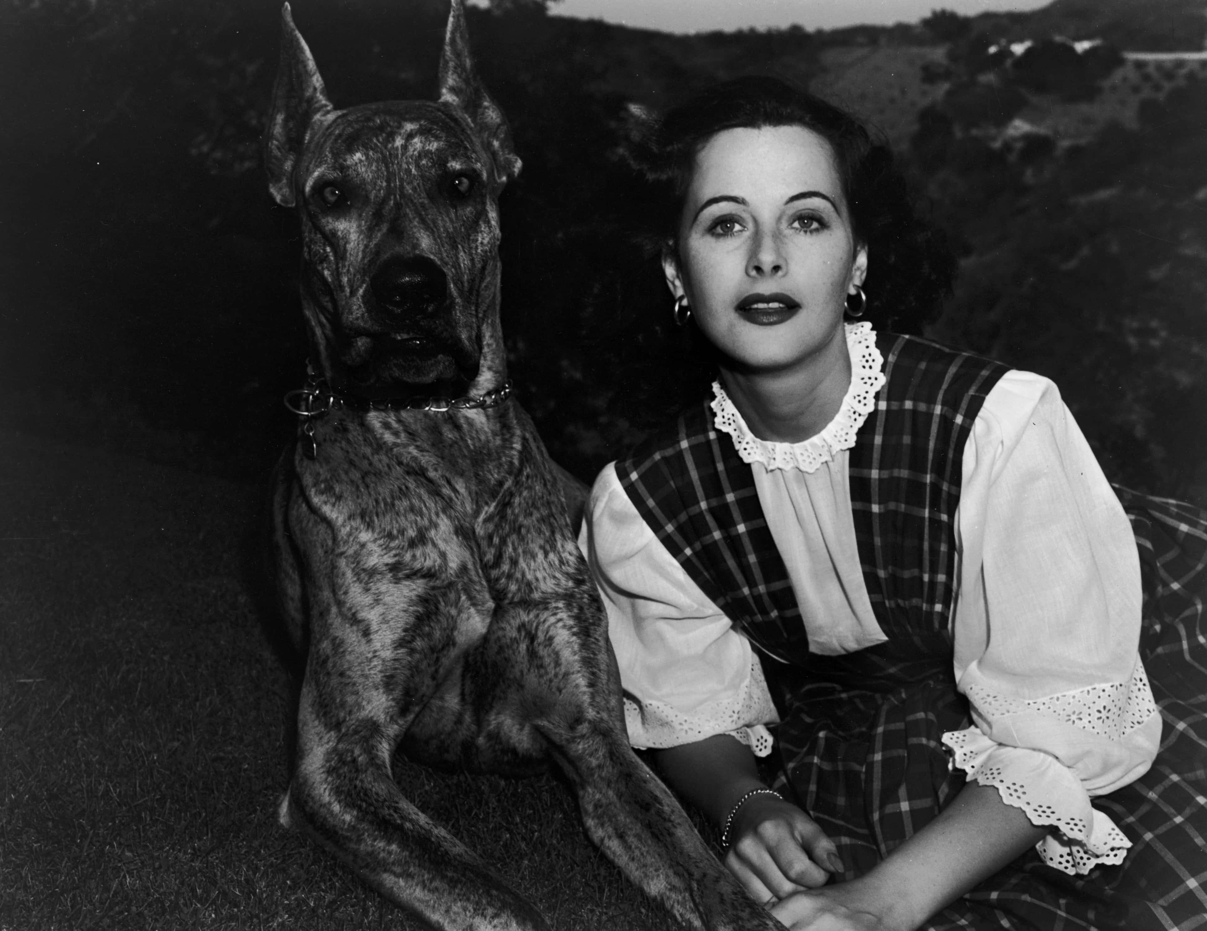 Hedy Lamarr sitting with a large dog - 1939