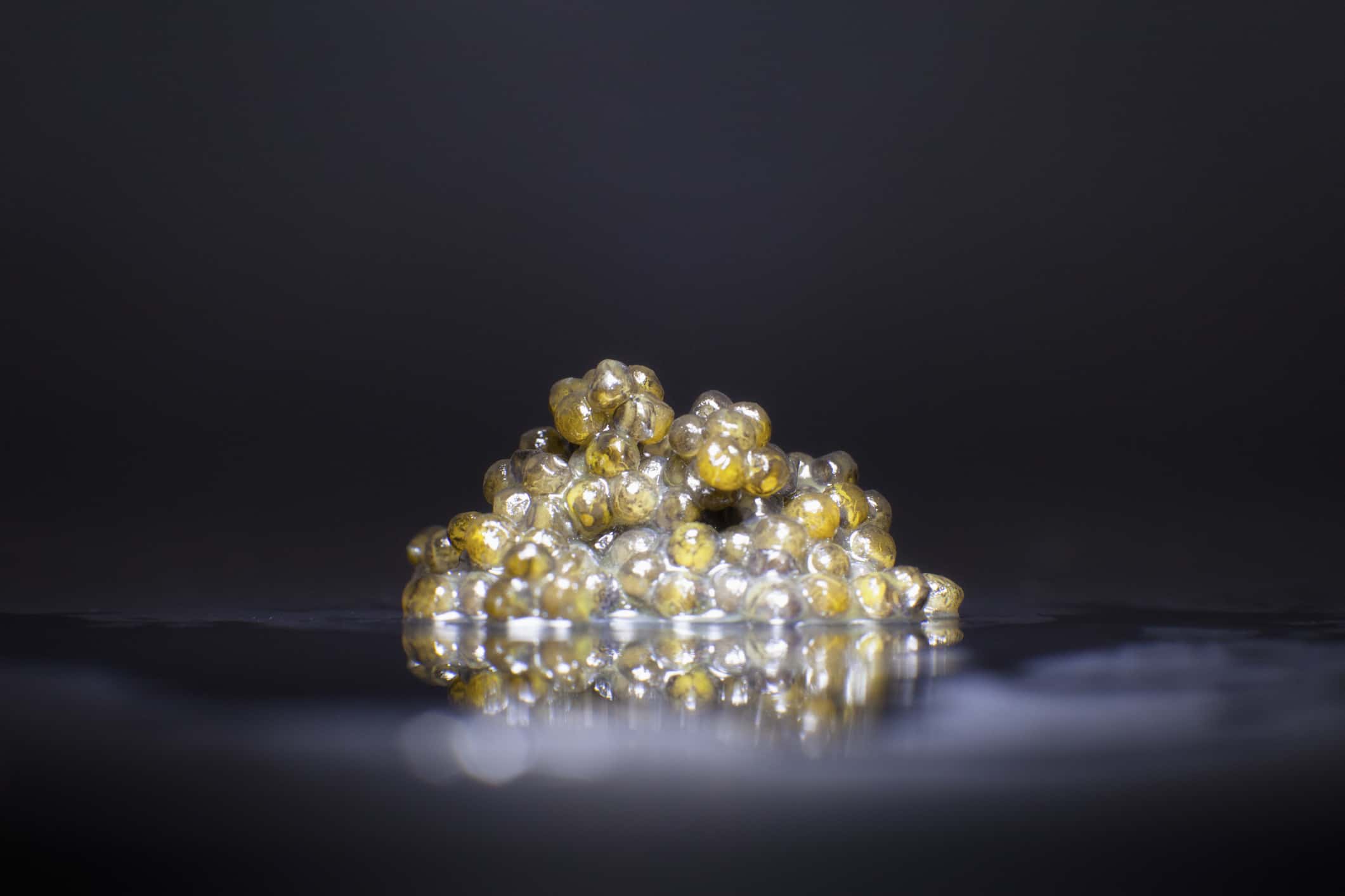 Toys Of The Rich And Famous facts