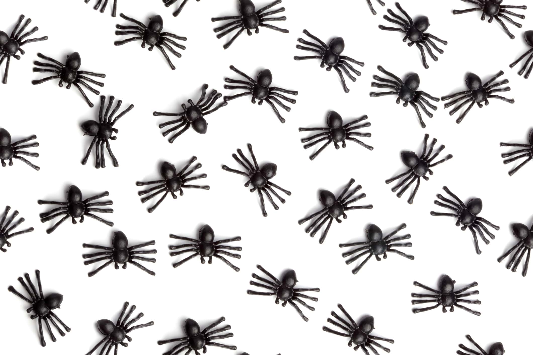 Full Frame Shot Of Spider Toys Arranged On White Background