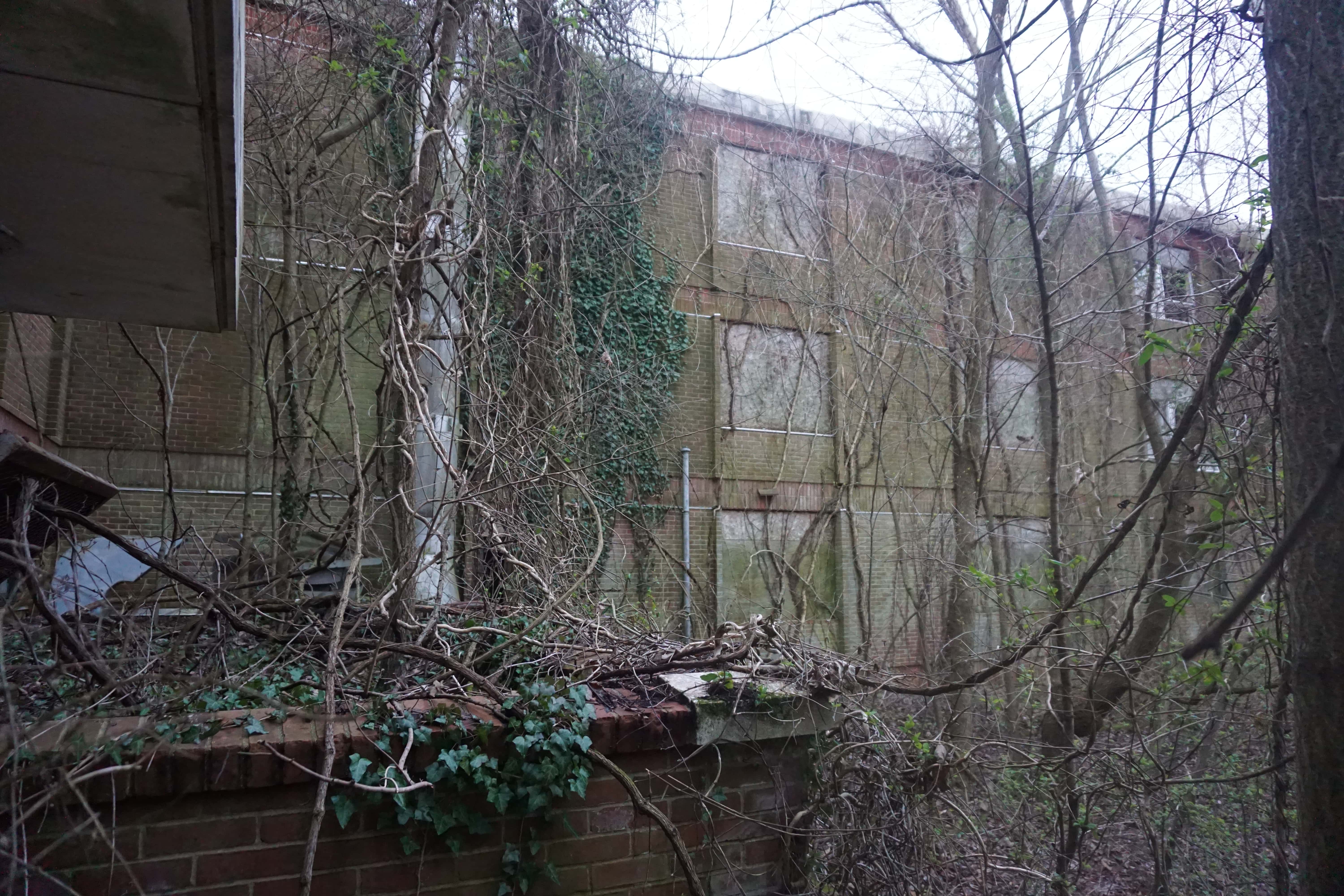 Insane Asylums Facts