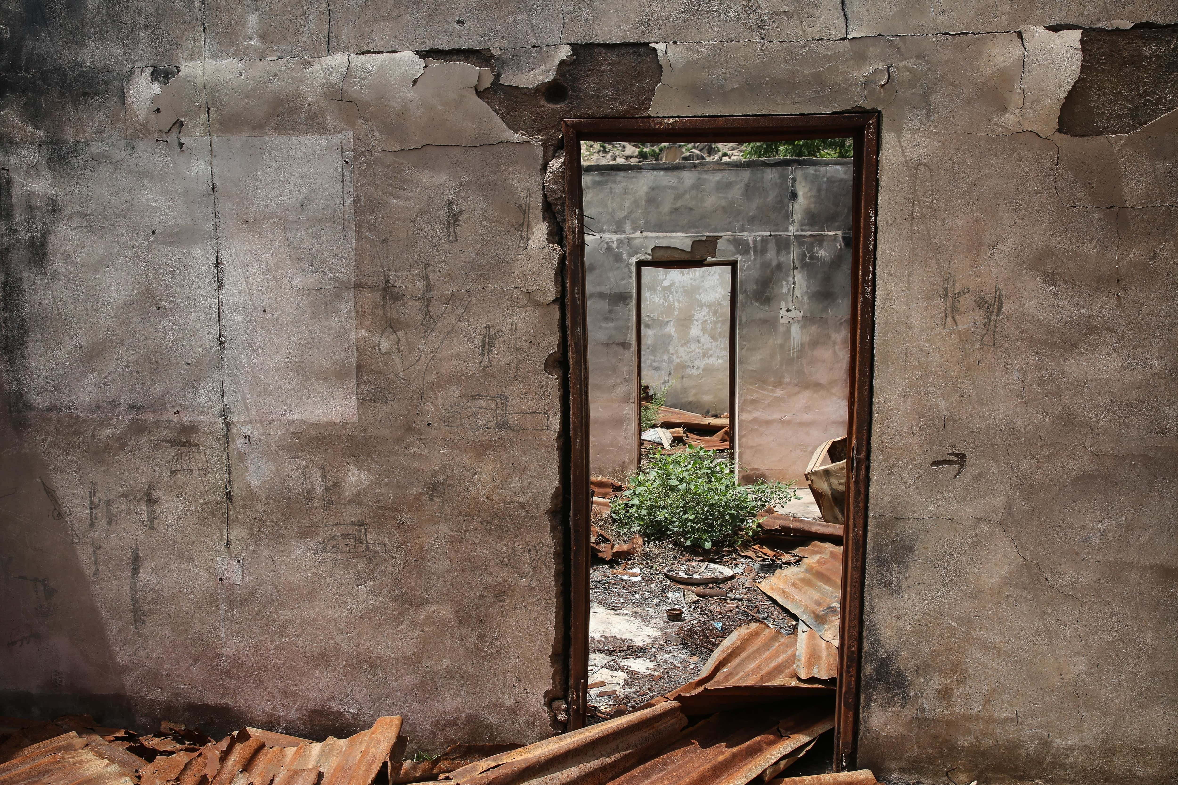 Insane Asylums Facts