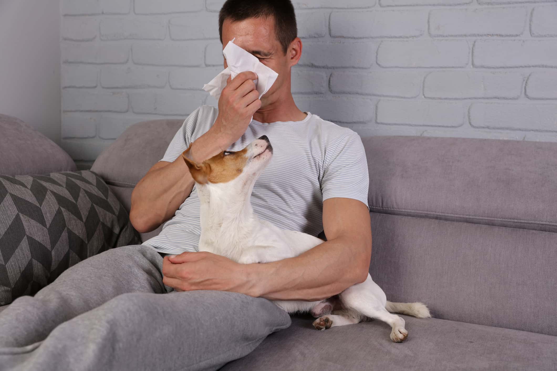 Man having pet allergy symptoms