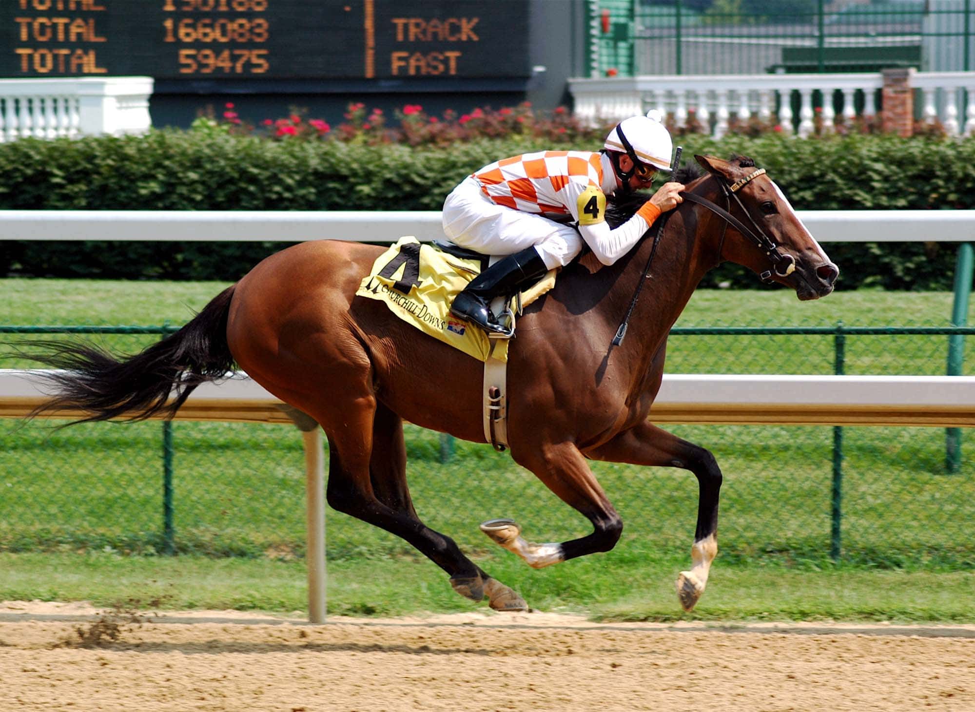 Toys Of The Rich And Famous Facts