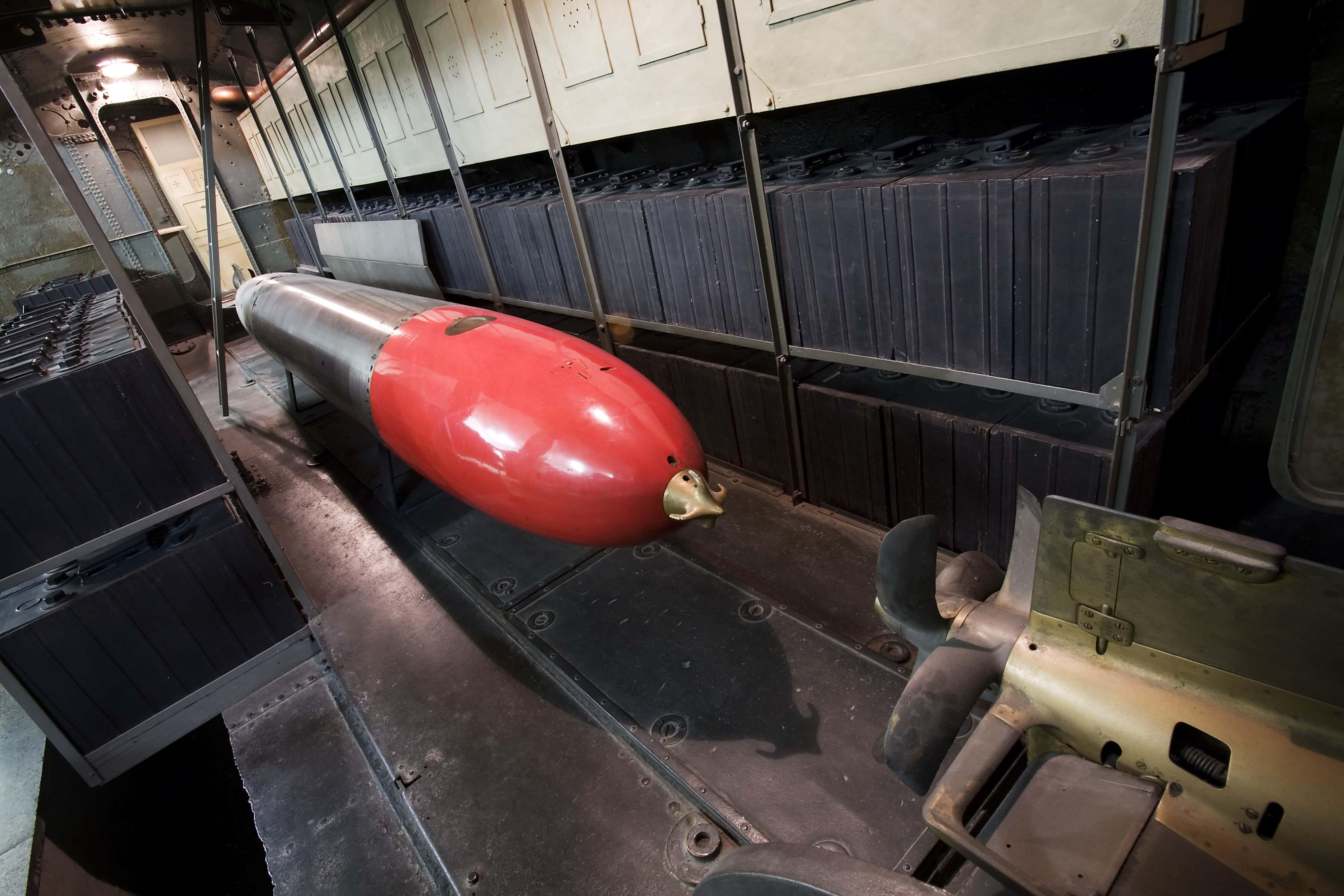 Creepy Things in Basements facts