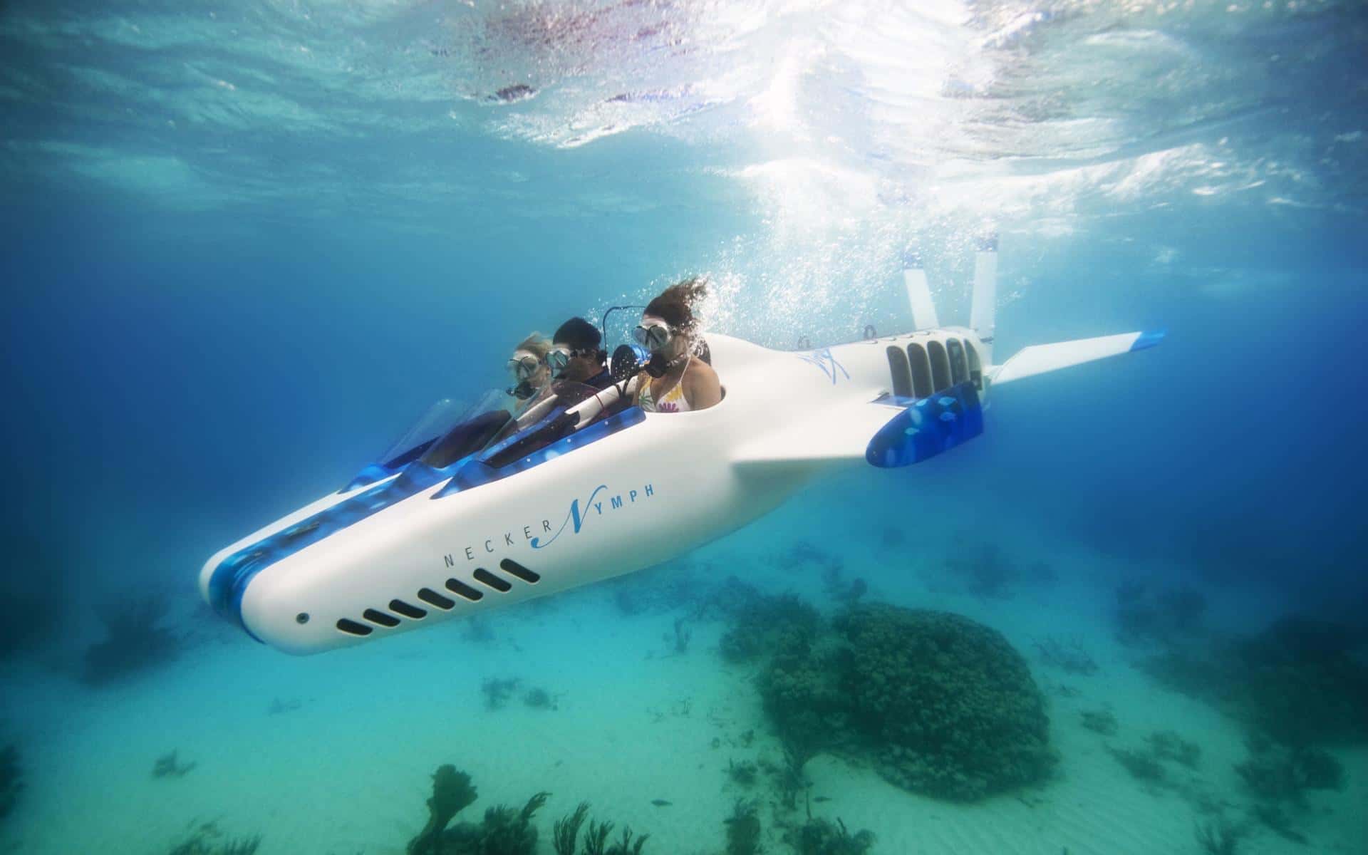 Toys Of The Rich And Famous Facts