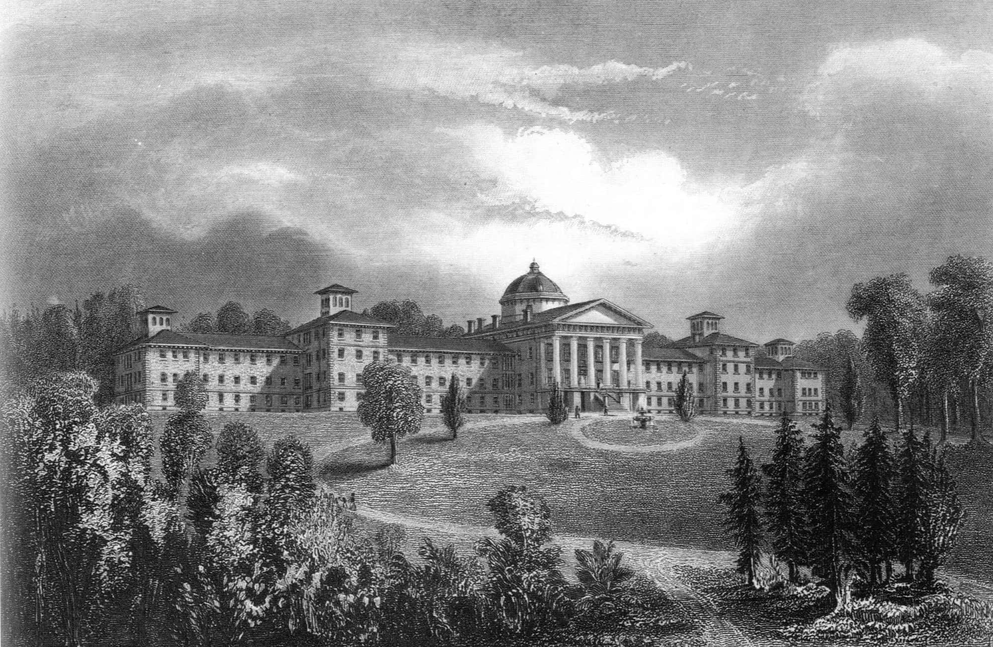 Insane Asylums Facts