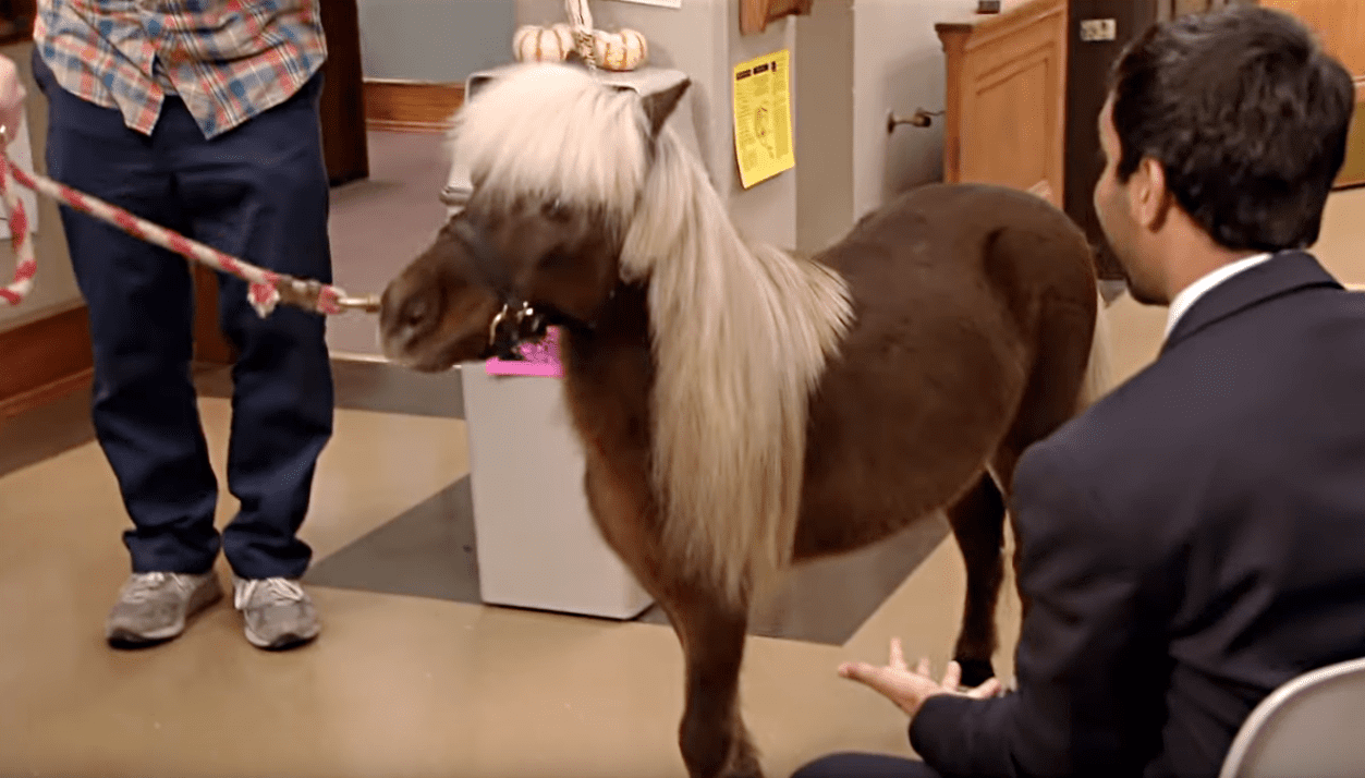 Parks and Recreation facts