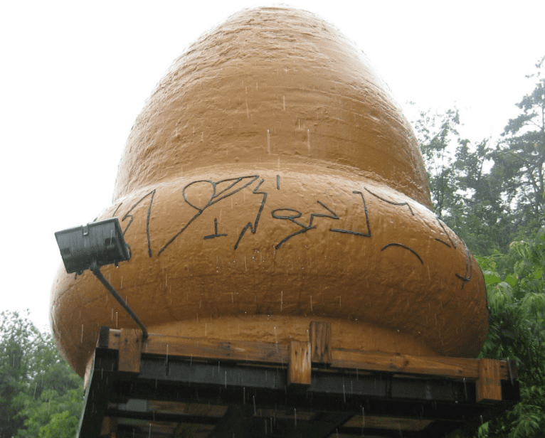 Close Encounters With Aliens Facts