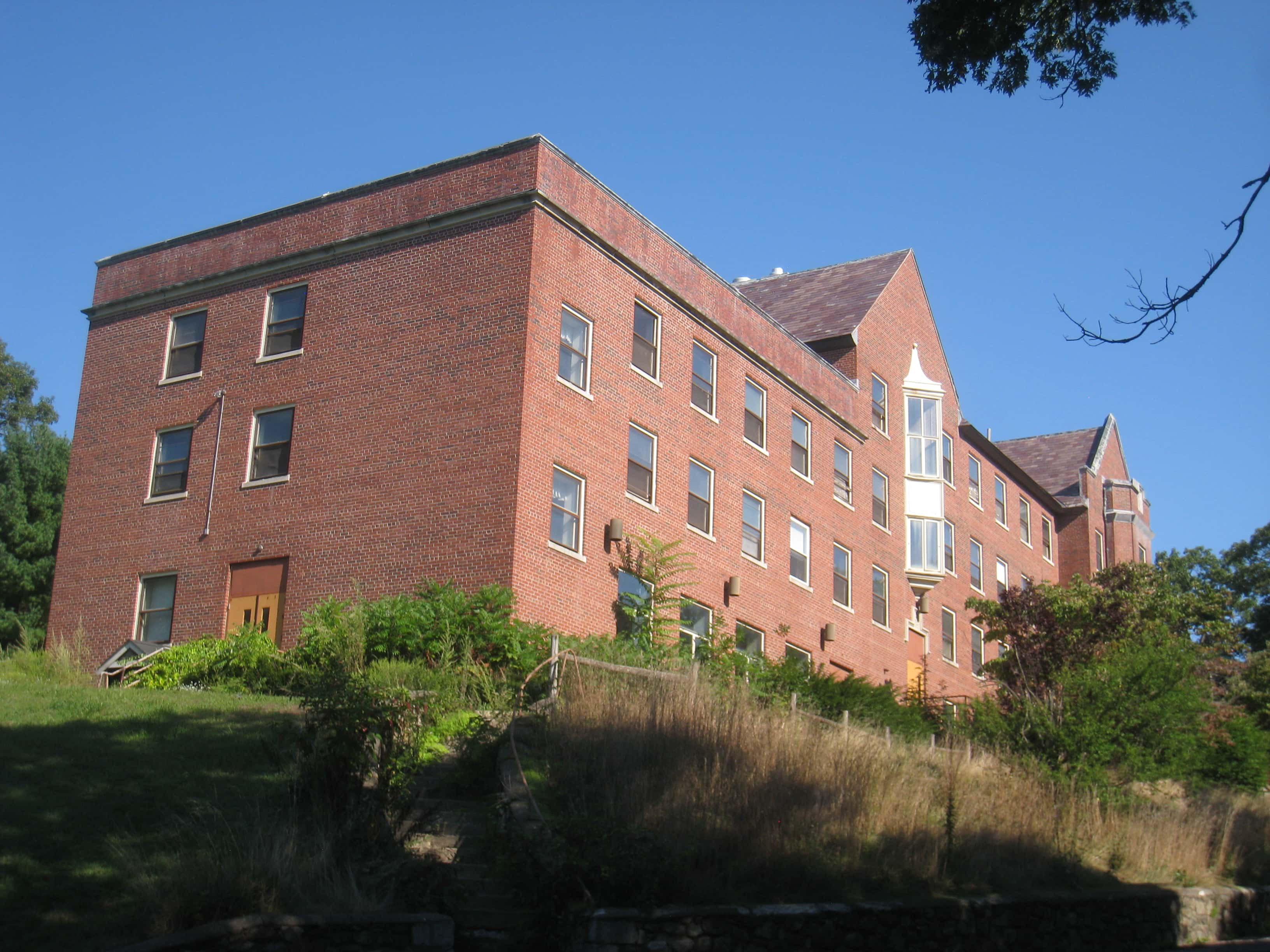 Insane Asylums Facts