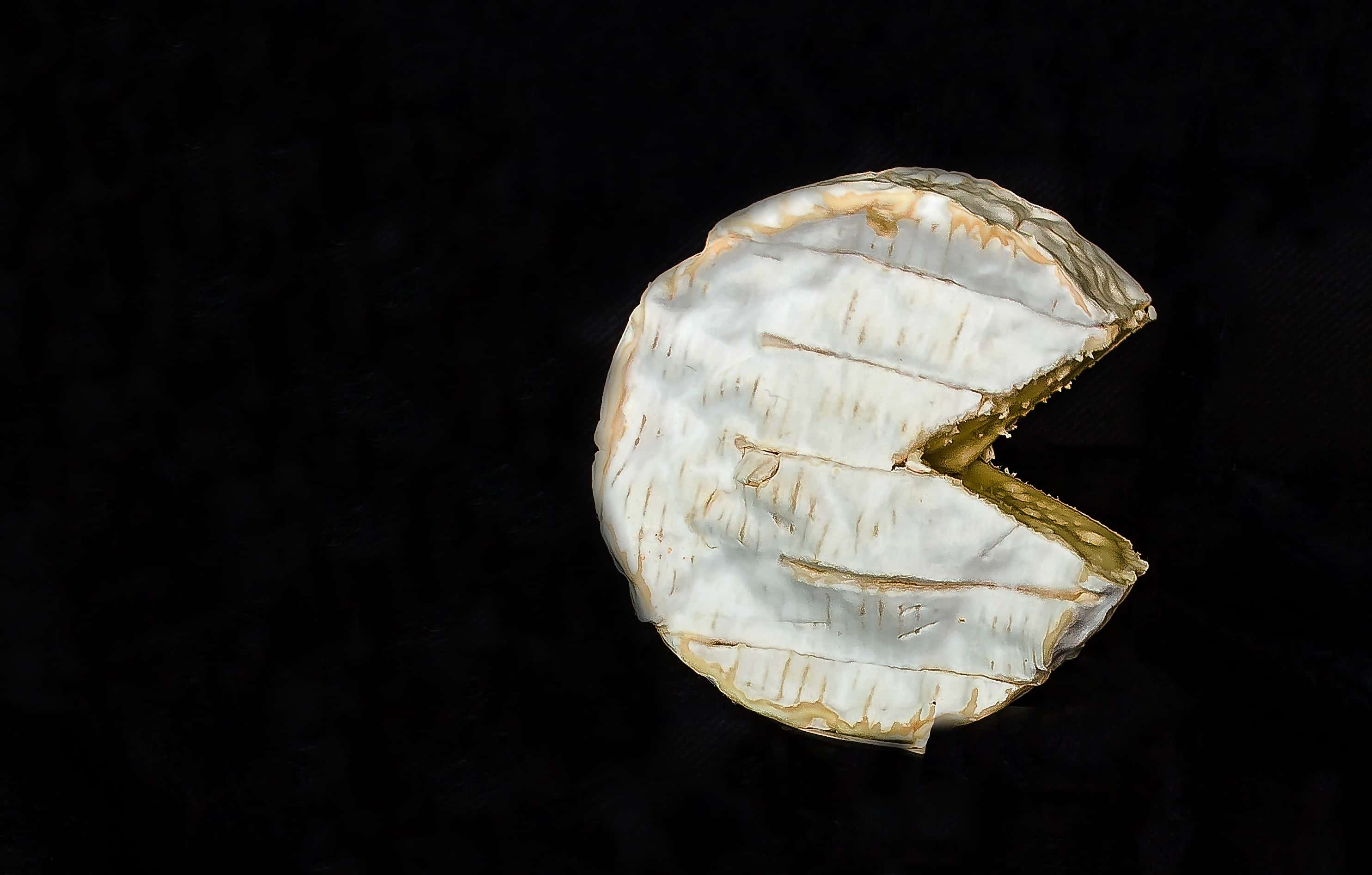 Strangest Battles In History facts