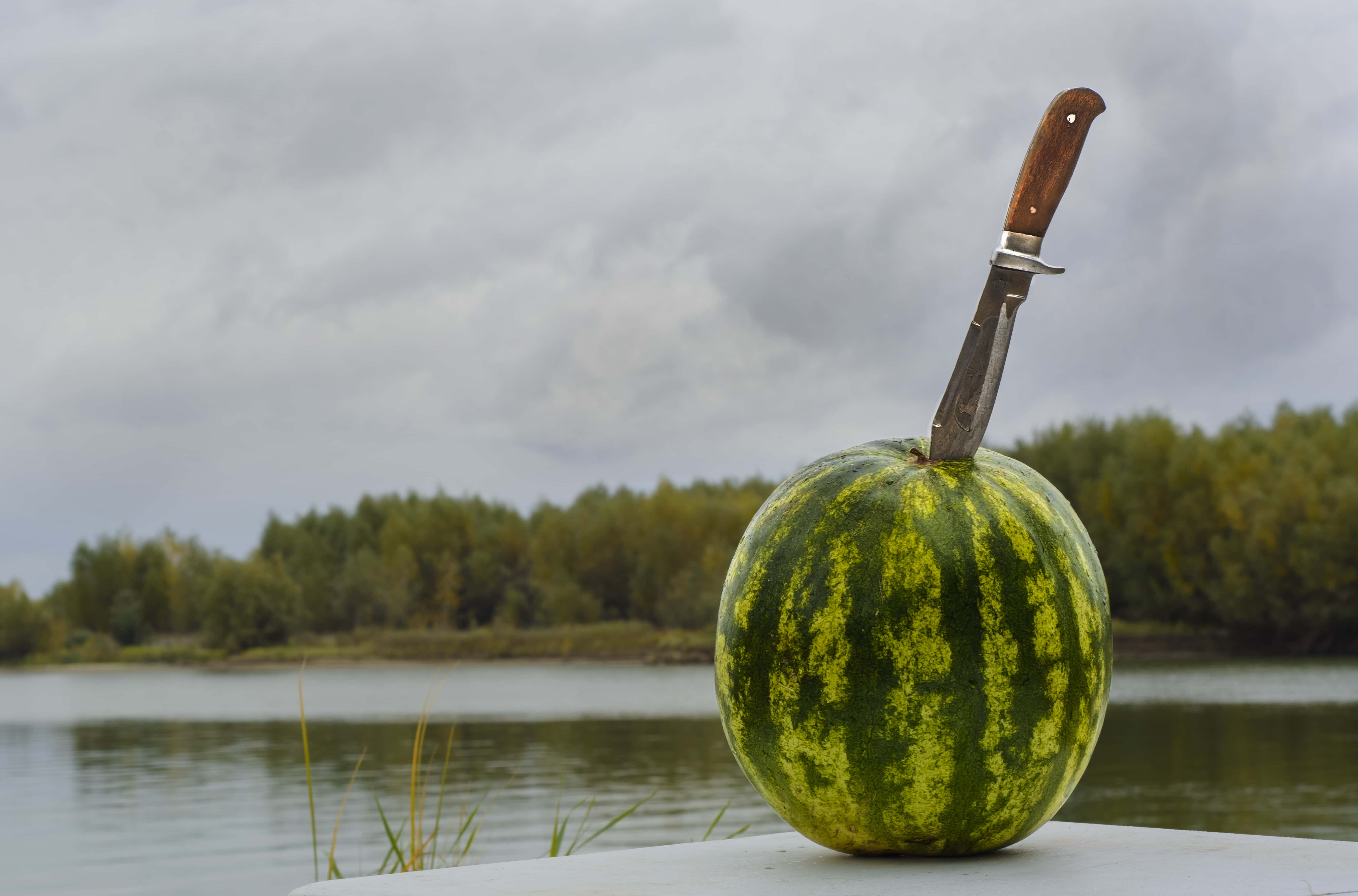 Halloween Film Franchise facts