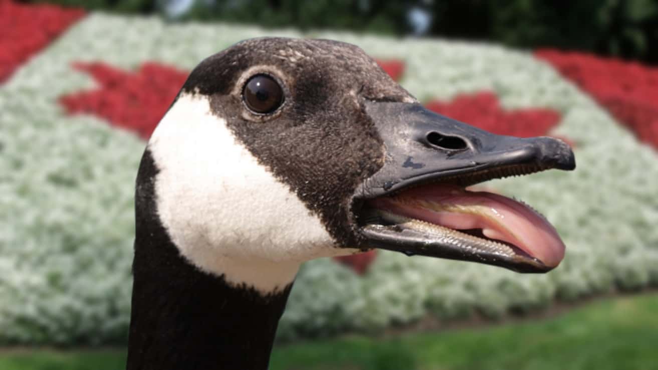 Acts You Won't Believe are Legal facts