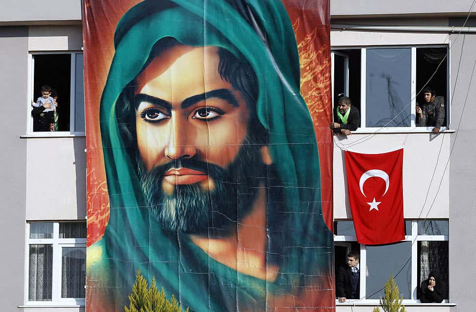 Poisonous Plots Facts