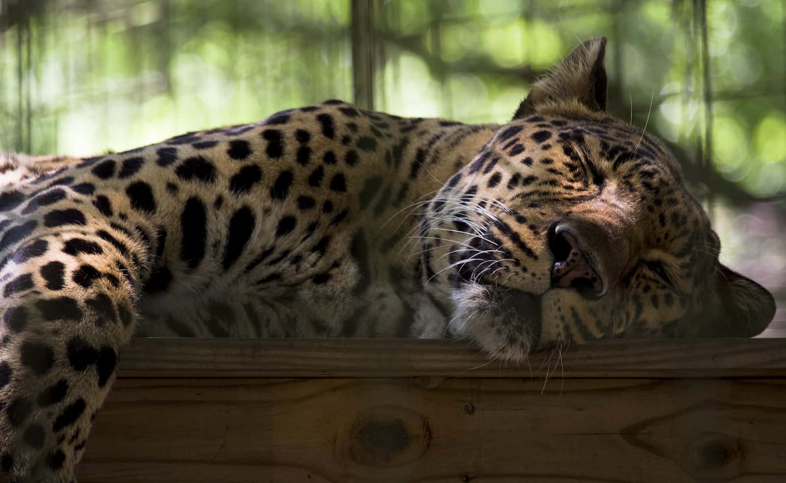 Acts You Won't Believe are Legal facts