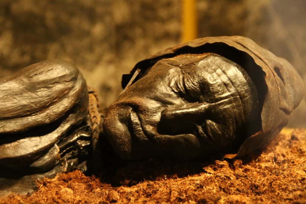 Strange Objects in Museums Facts