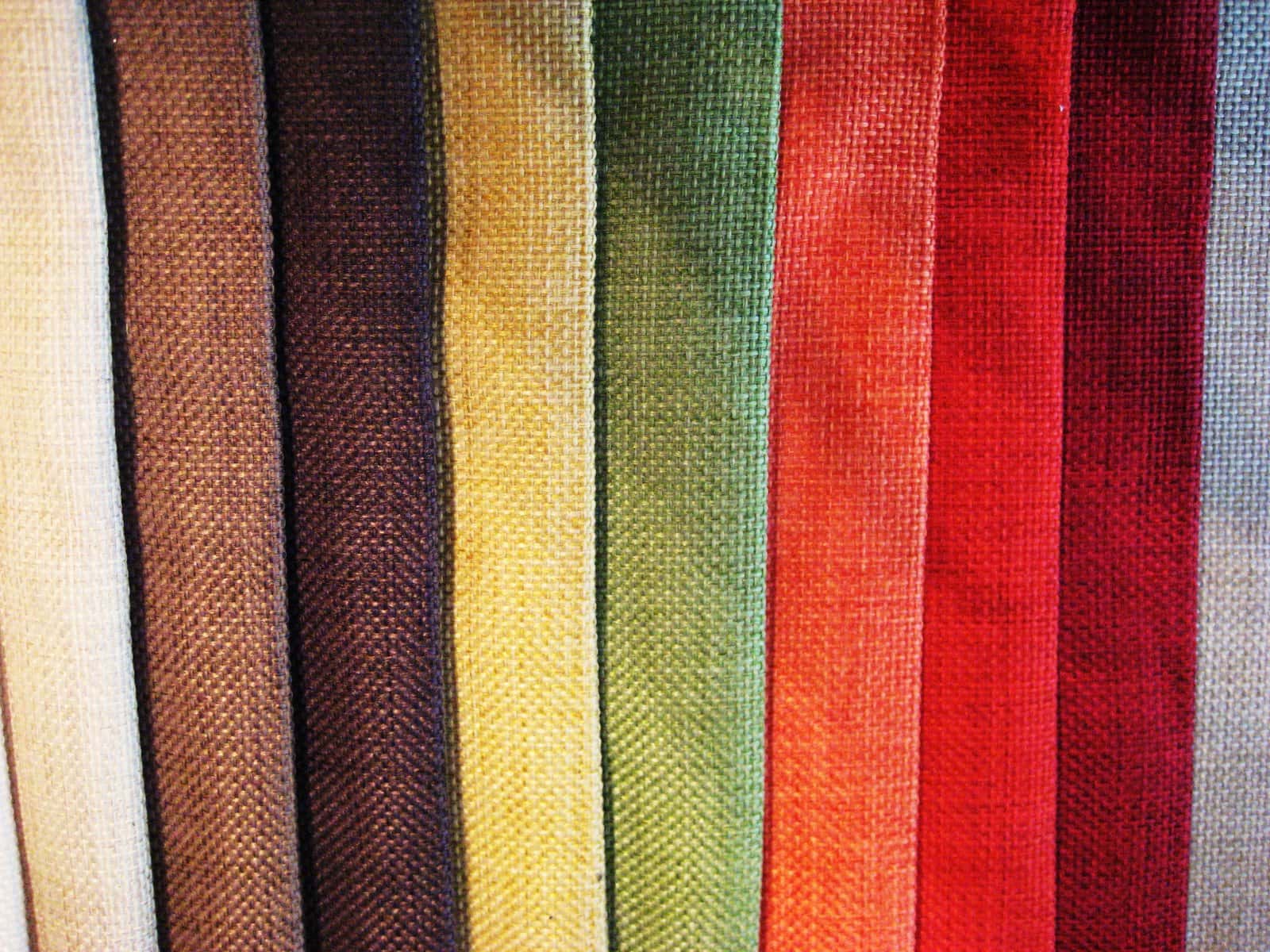 Roots of Words facts