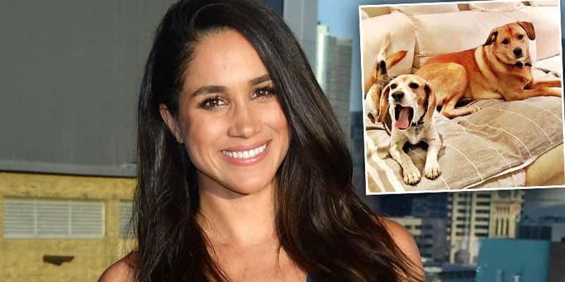 Meghan Markle facts 