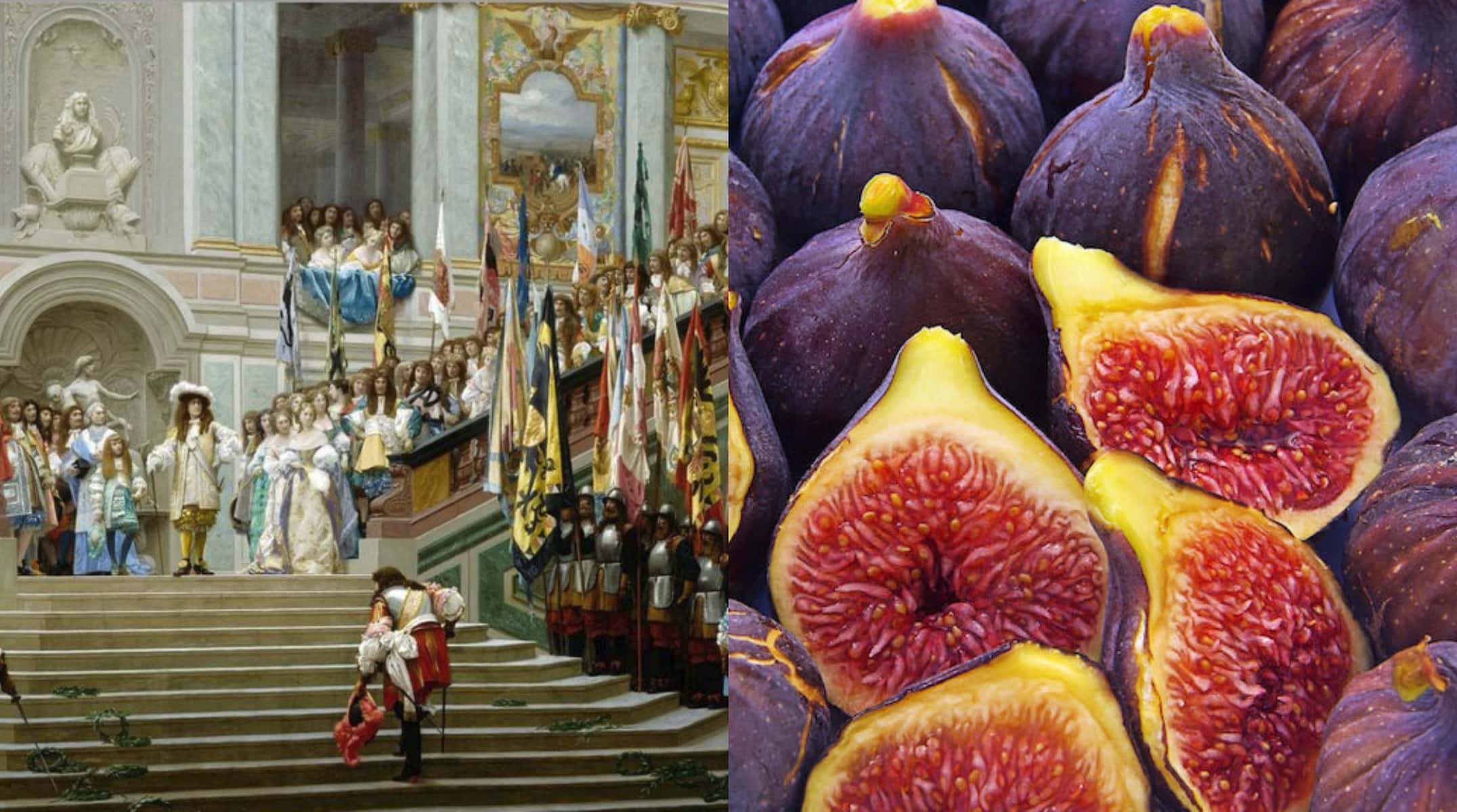 Roots of Words facts