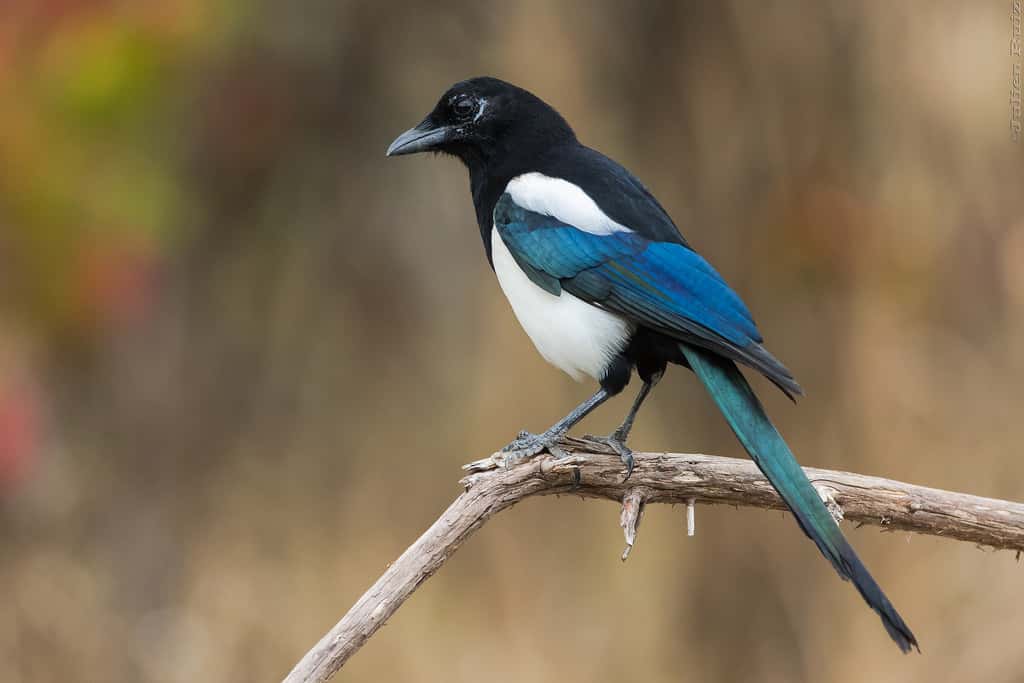 People Who Love Facts