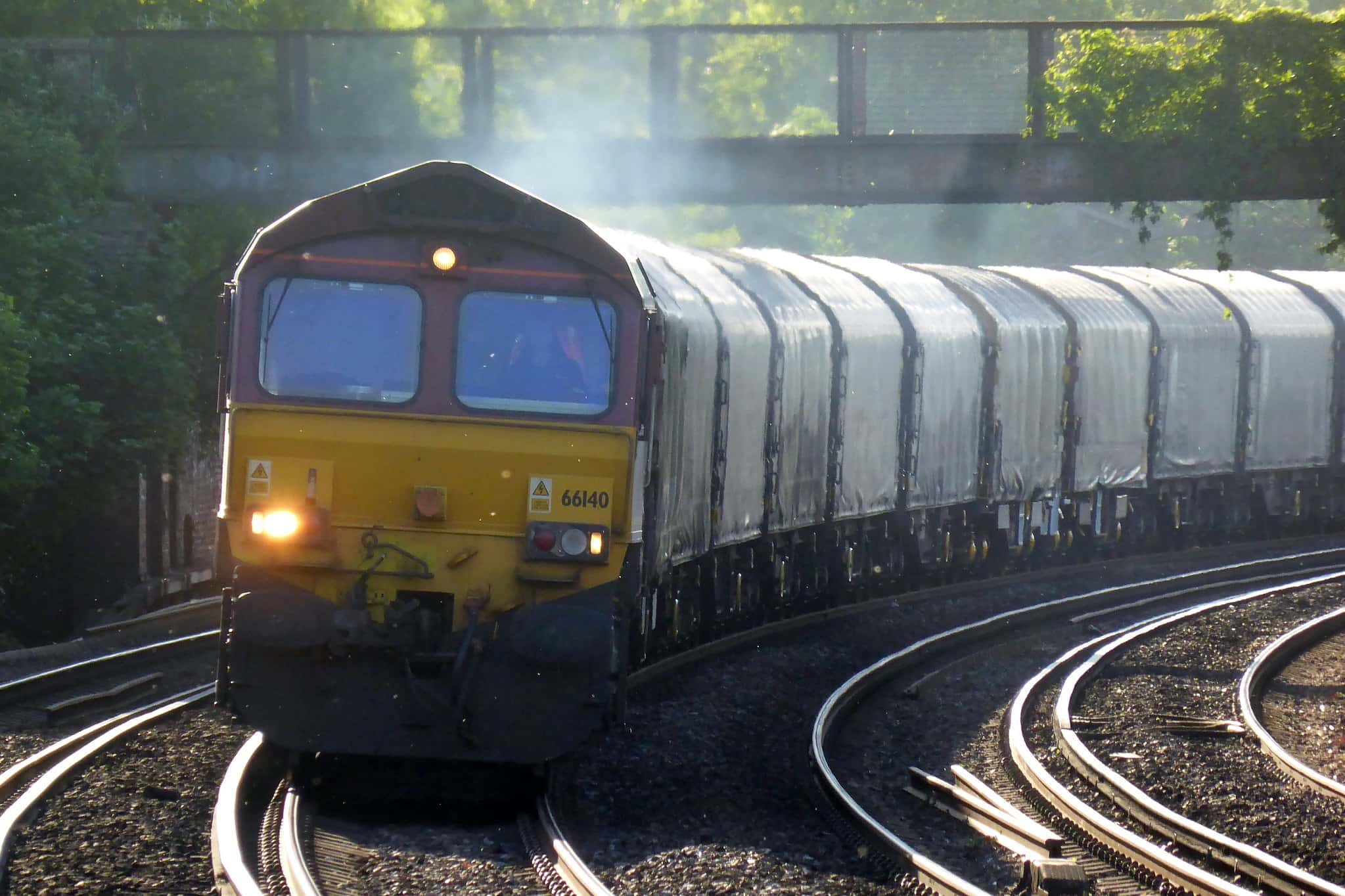 Accidental Deaths Facts