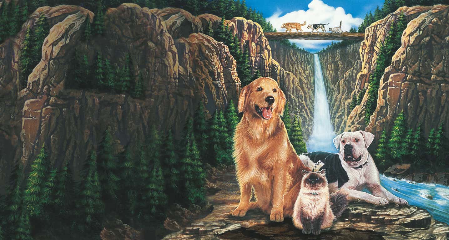 Nostalgic Films Facts