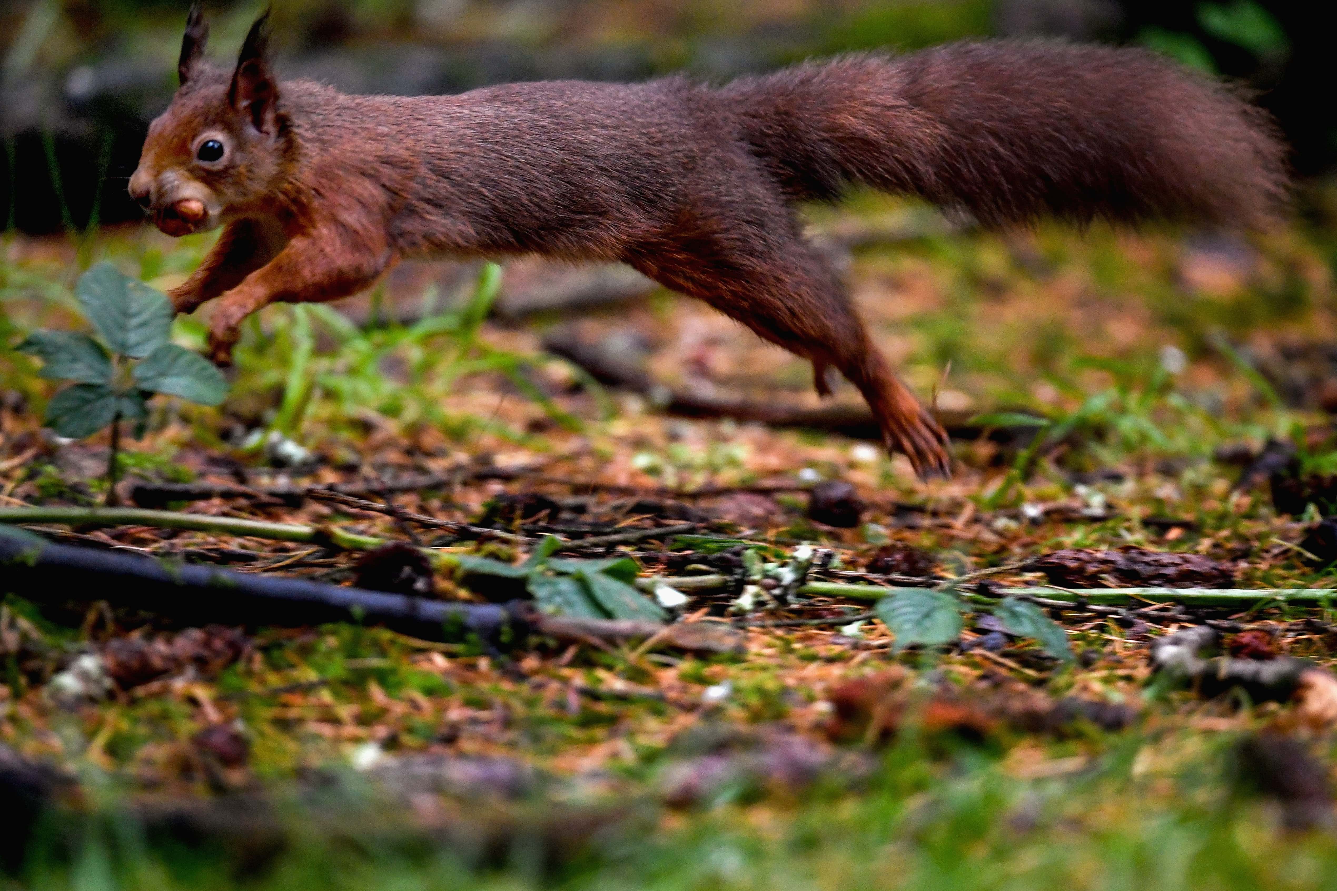 Facts That Will Make You Smile