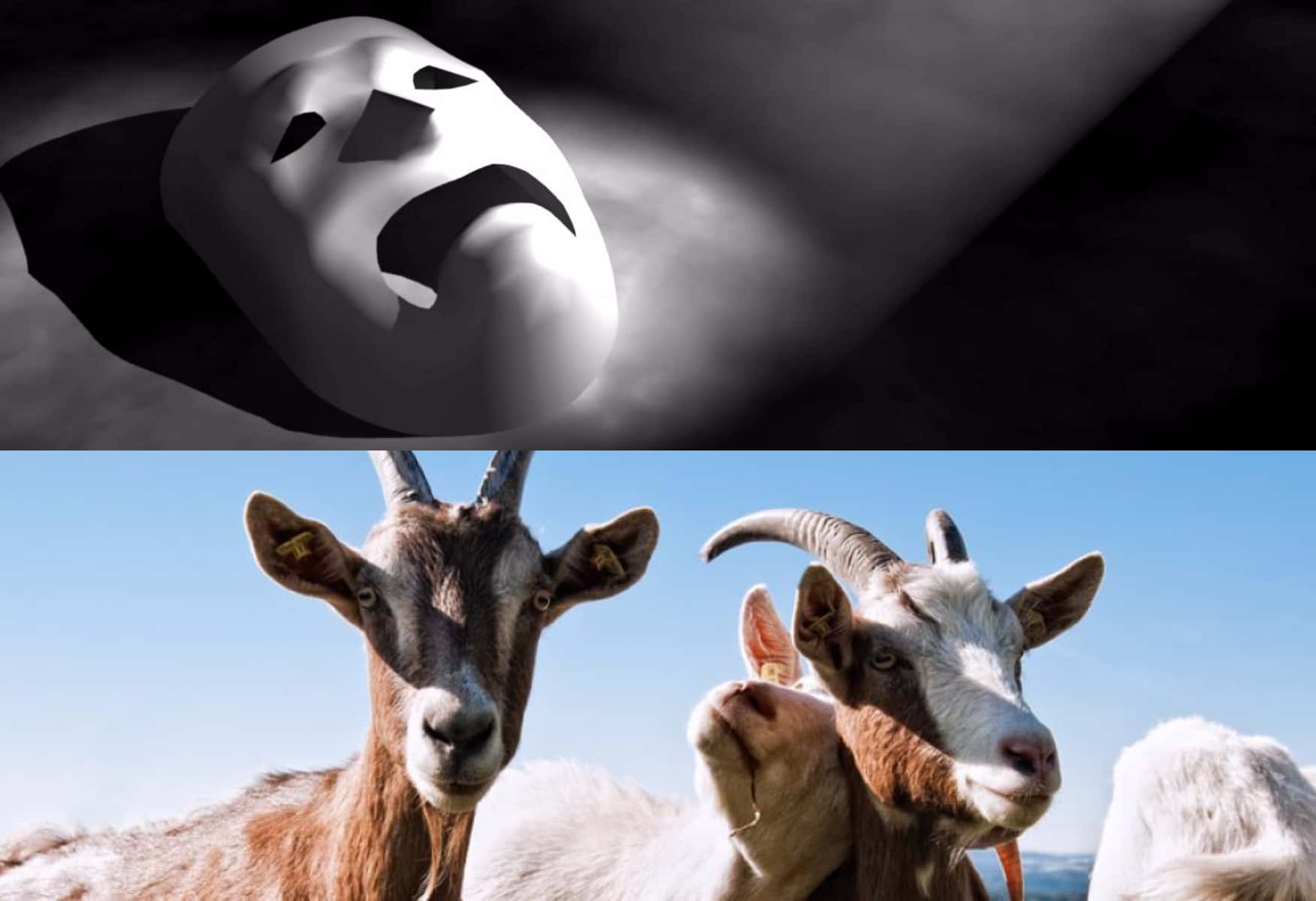 Roots of Words facts