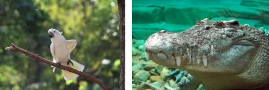 People Who Love Facts