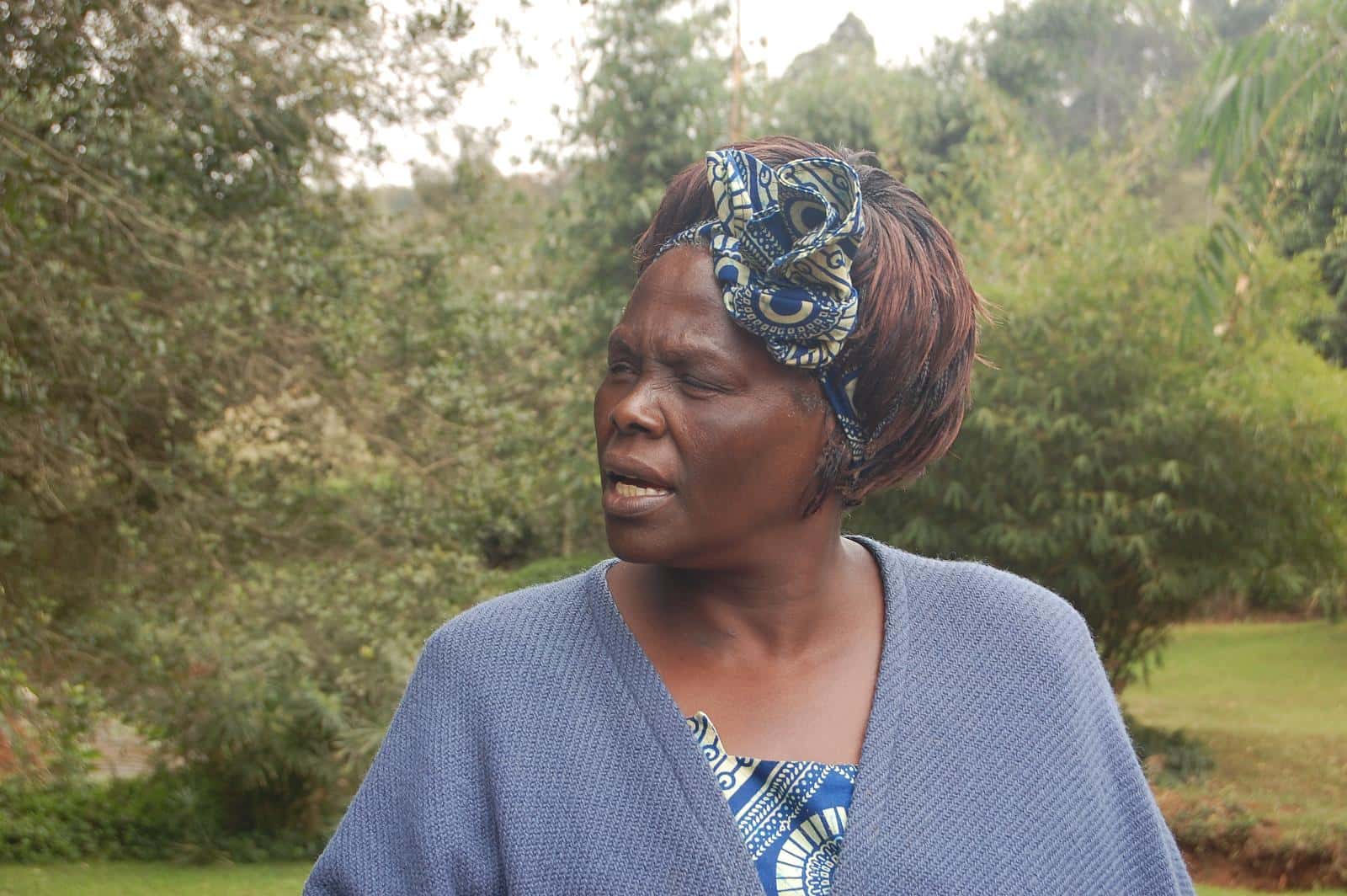 Wangari Maathai